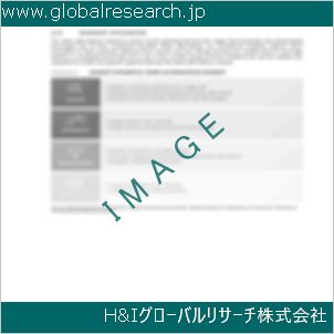 グローバルリサーチ調査資料のイメージ